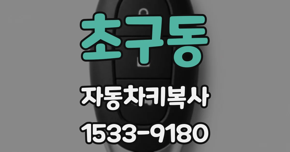 초구동 자동차키복사