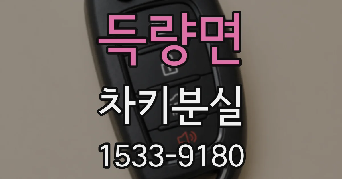 득량면 차키분실