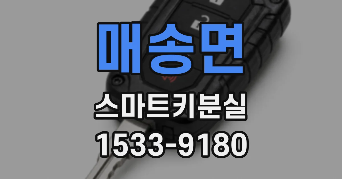 매송면 스마트키분실