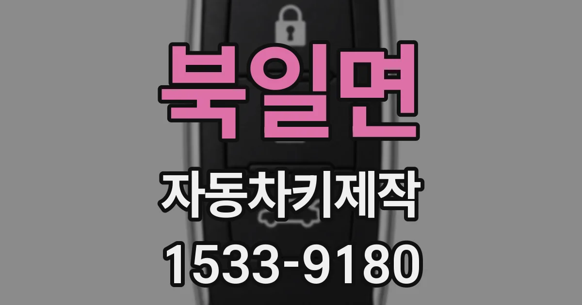 북일면 자동차키제작