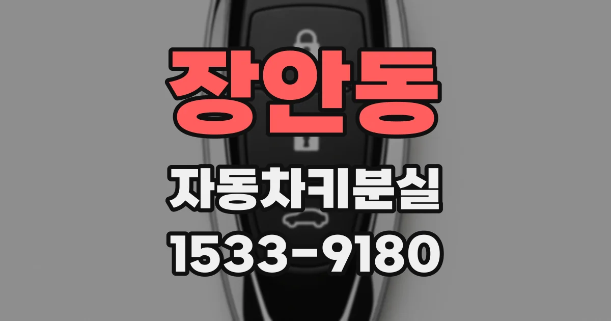 장안동 자동차키분실