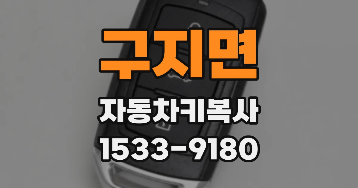 구지면 자동차키복사