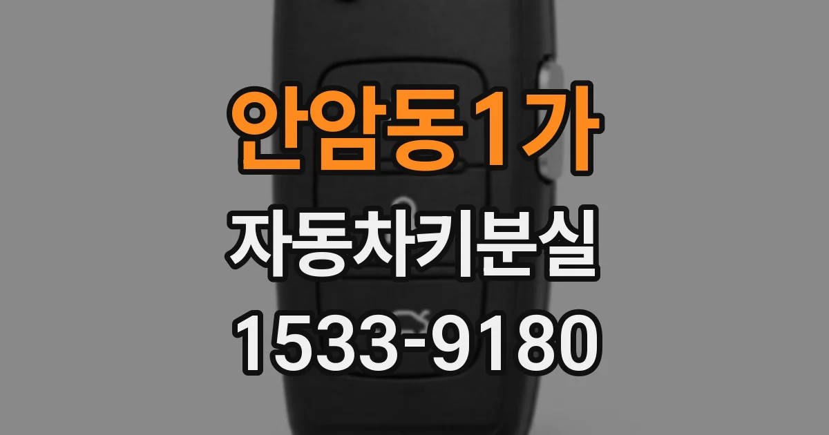 안암동1가 자동차키분실