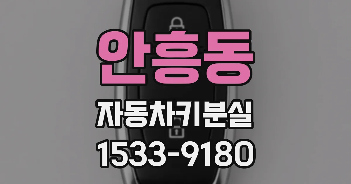 안흥동 자동차키분실