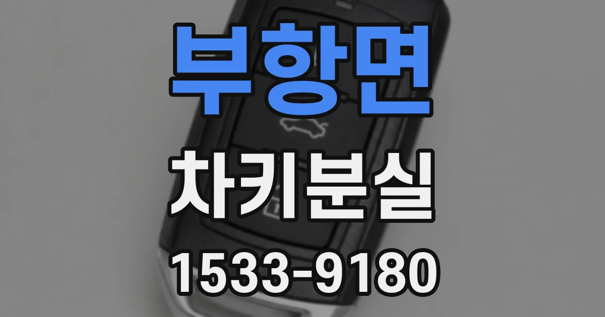 부항면 차키분실