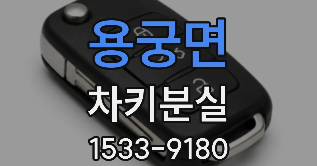 용궁면 차키분실