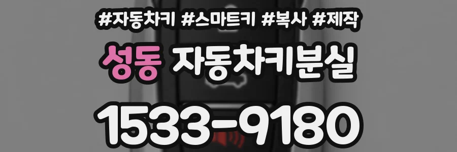 성동 자동차키분실