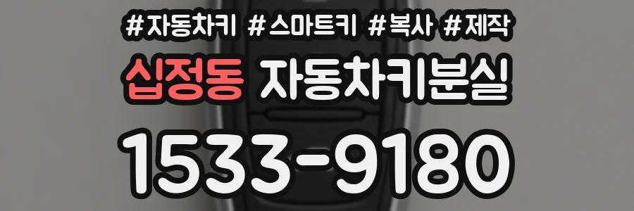 십정동 자동차키분실