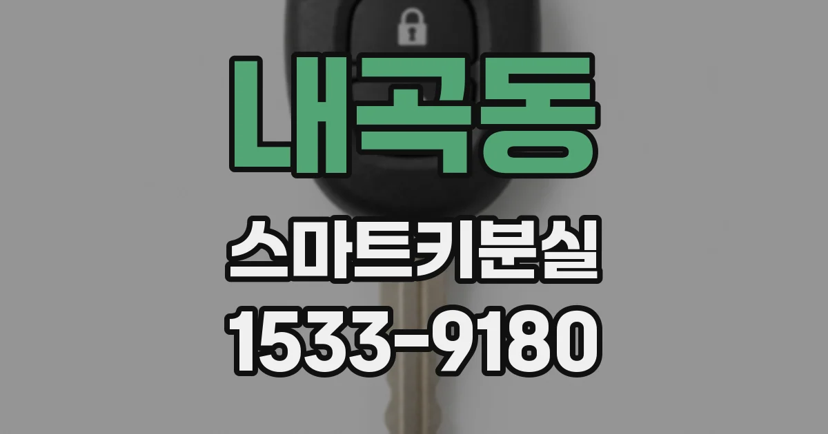내곡동 스마트키분실