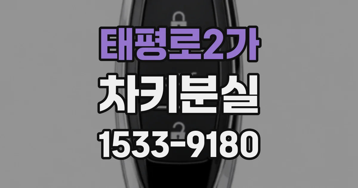 태평로2가 차키분실