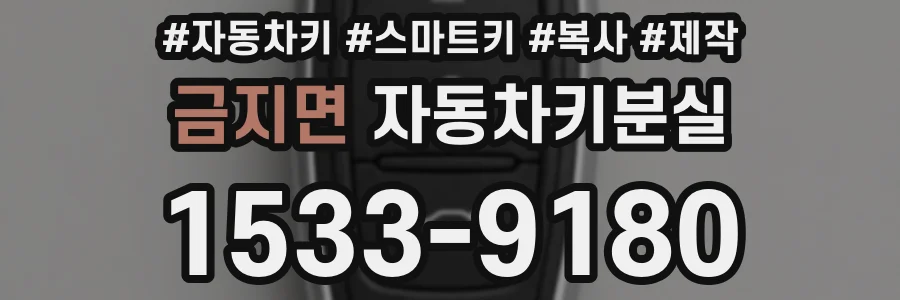금지면 자동차키분실