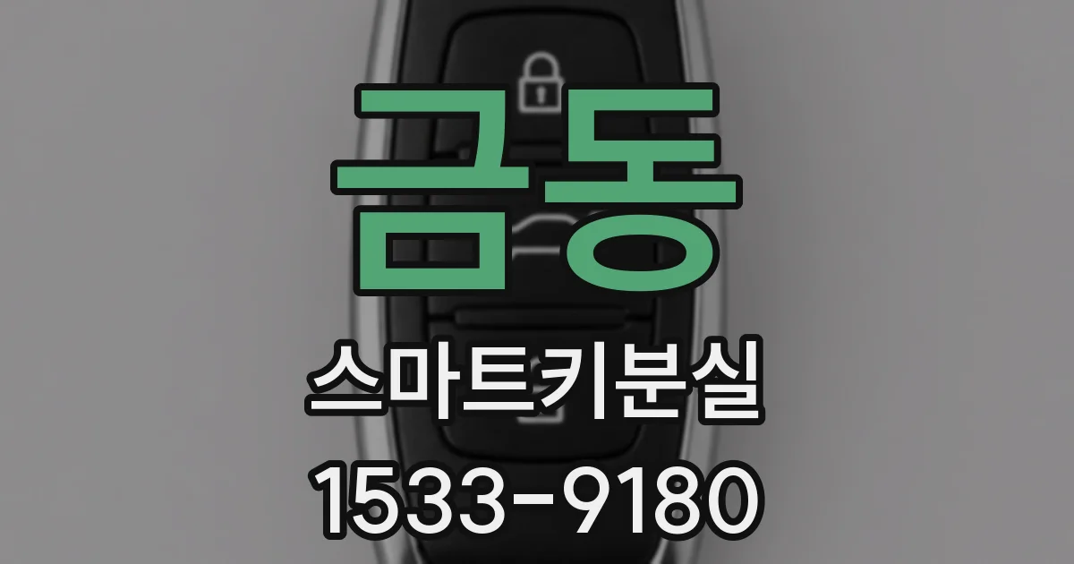 금동 스마트키분실