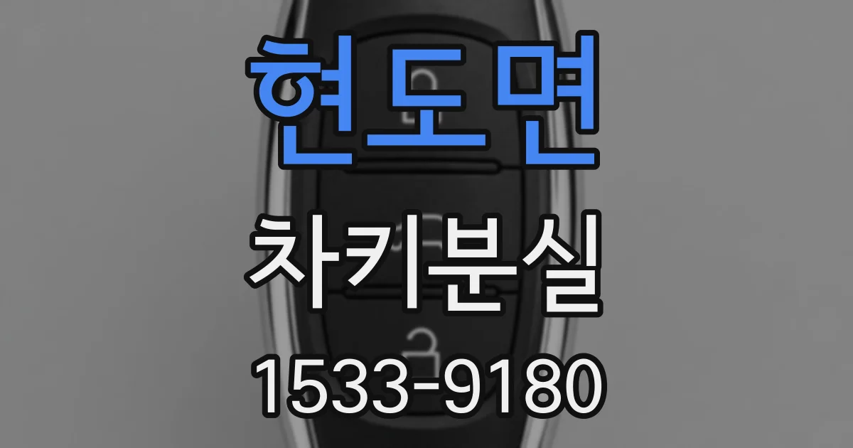 현도면 차키분실