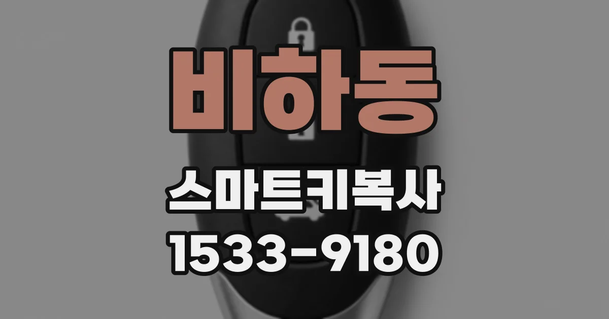 비하동 스마트키복사