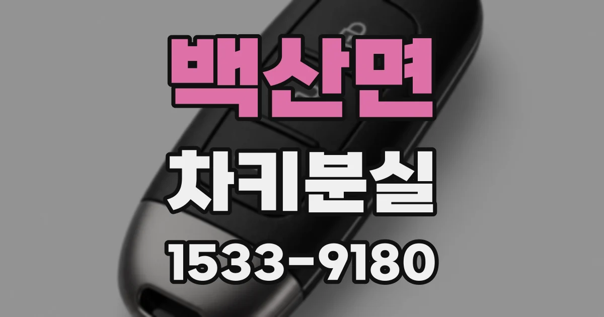 백산면 차키분실