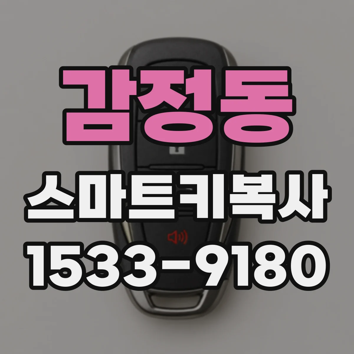 감정동 스마트키복사