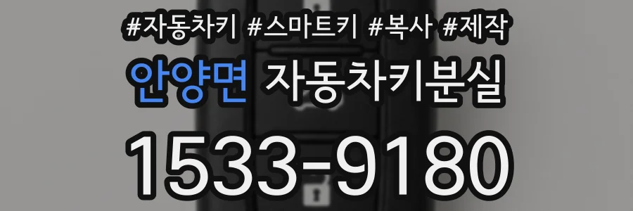 안양면 자동차키분실