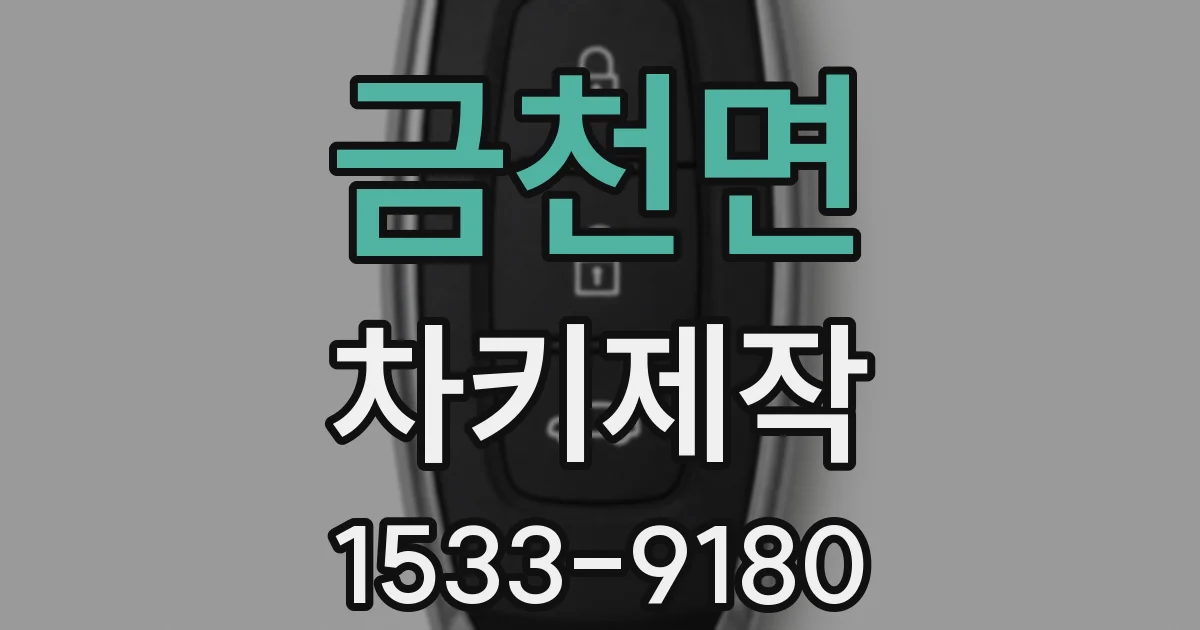 금천면 차키제작