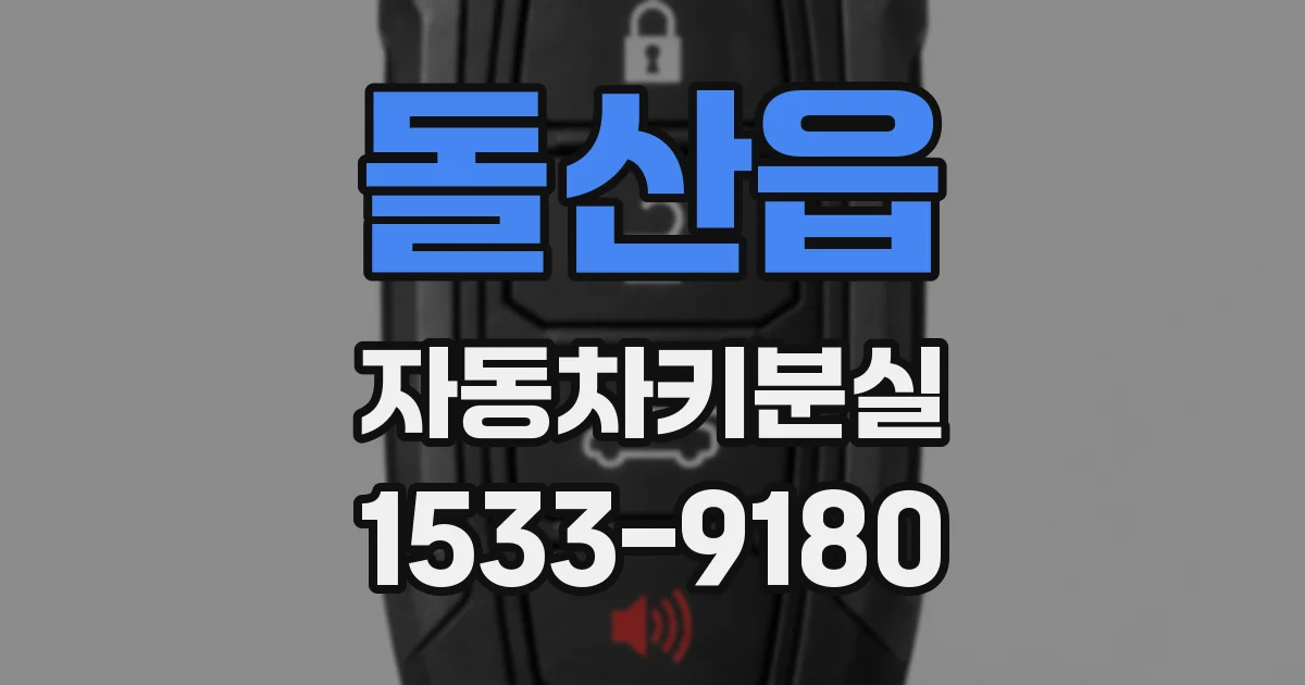 돌산읍 자동차키분실