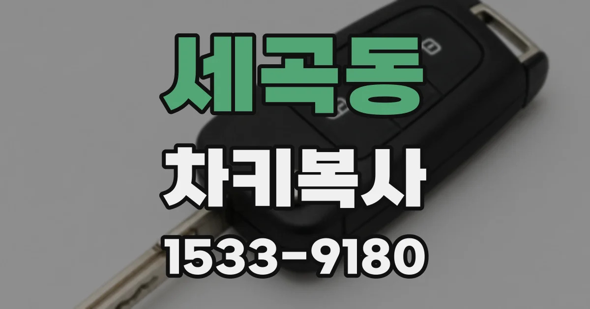 세곡동 차키복사