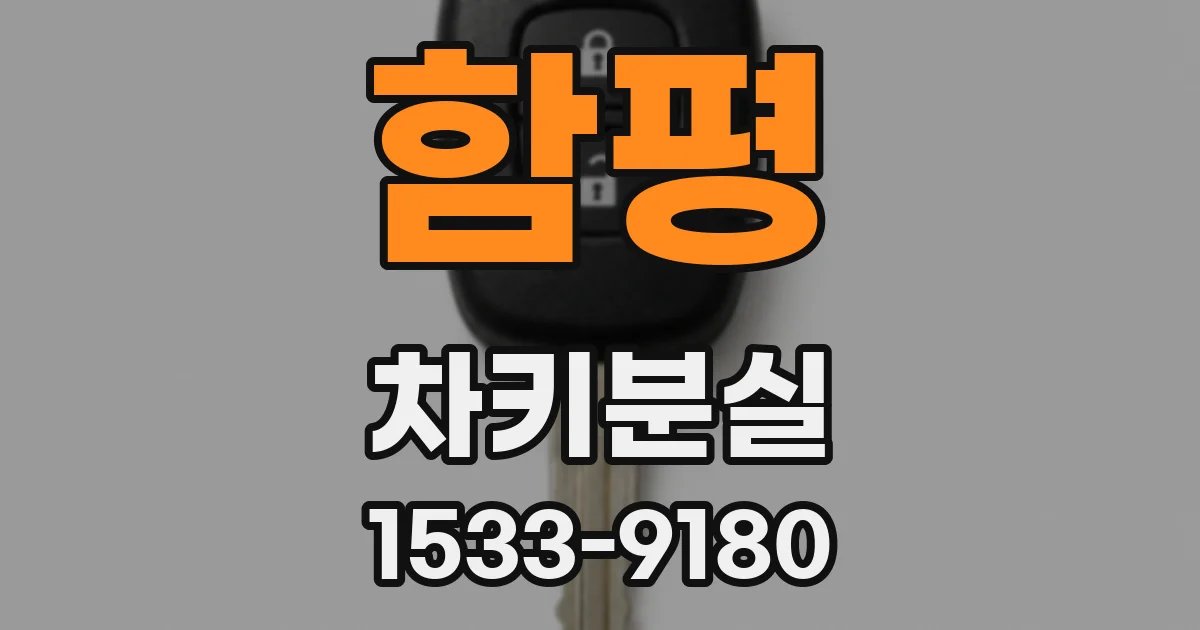 함평 차키분실