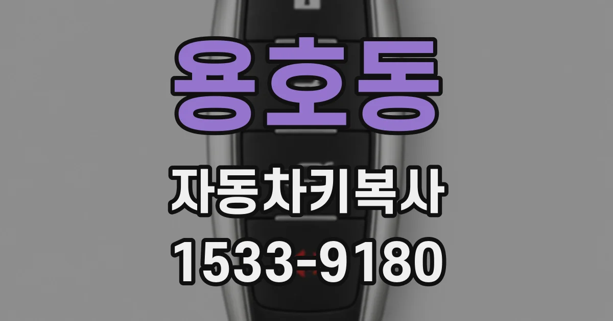 용호동 자동차키복사