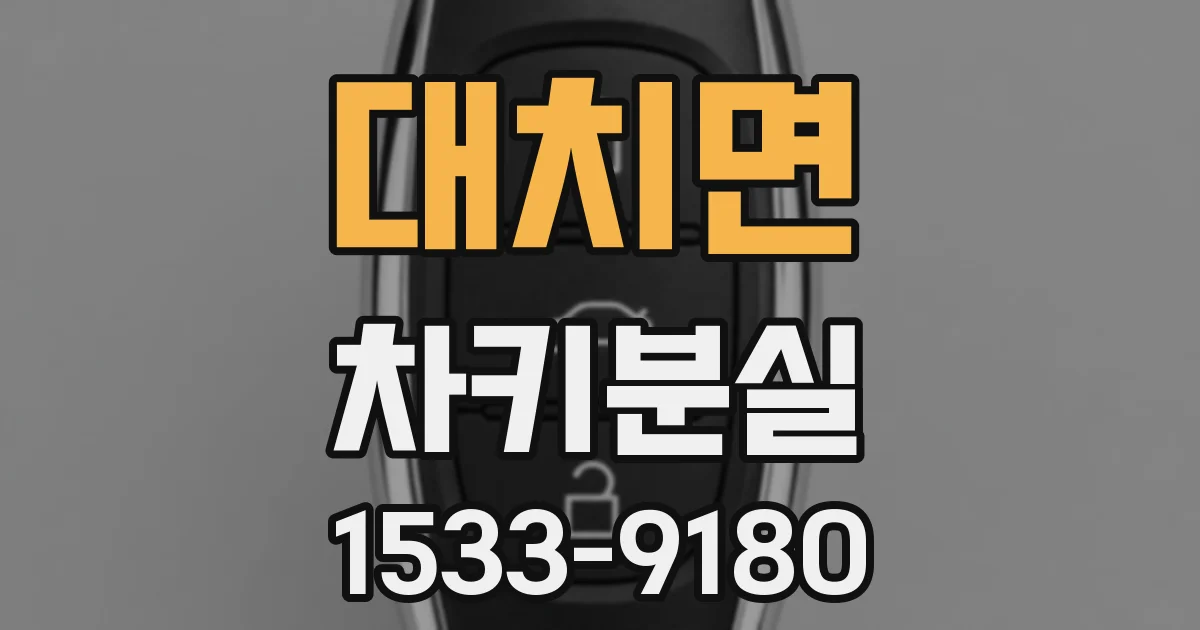 대치면 차키분실