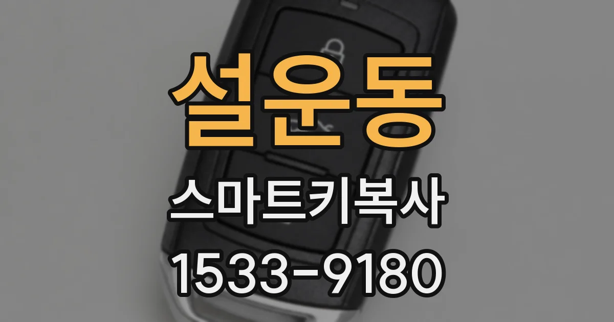 설운동 스마트키복사