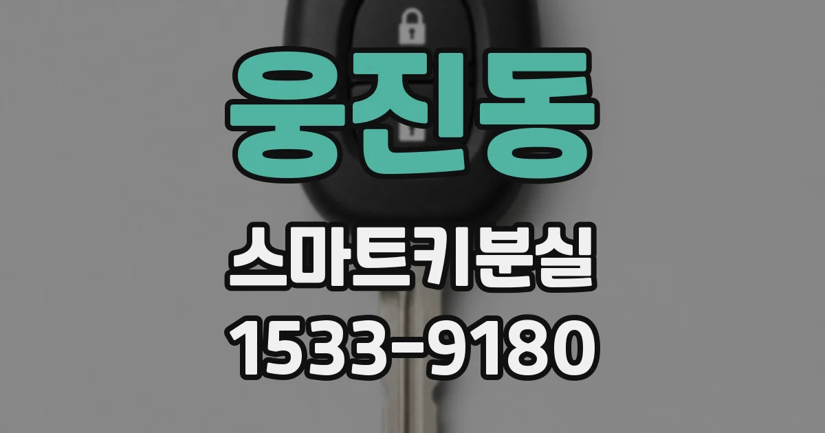 웅진동 스마트키분실