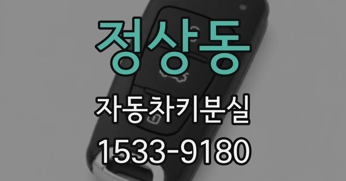 정상동 자동차키분실