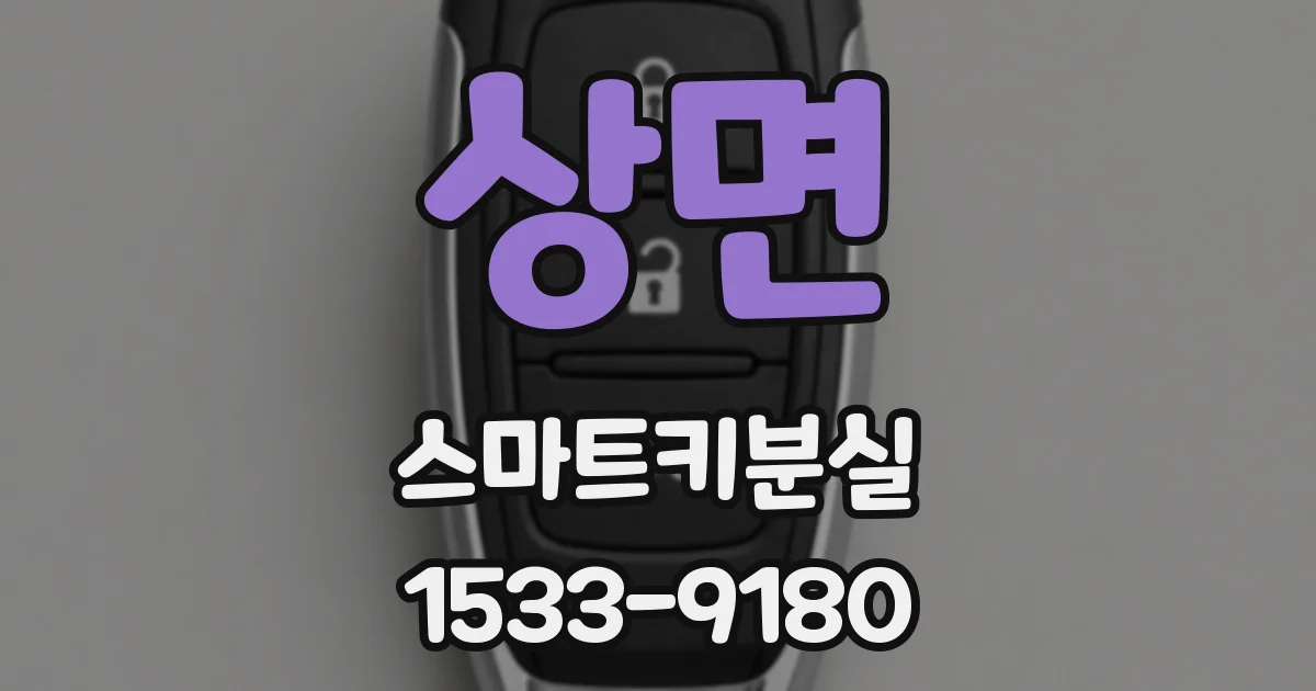 상면 스마트키분실