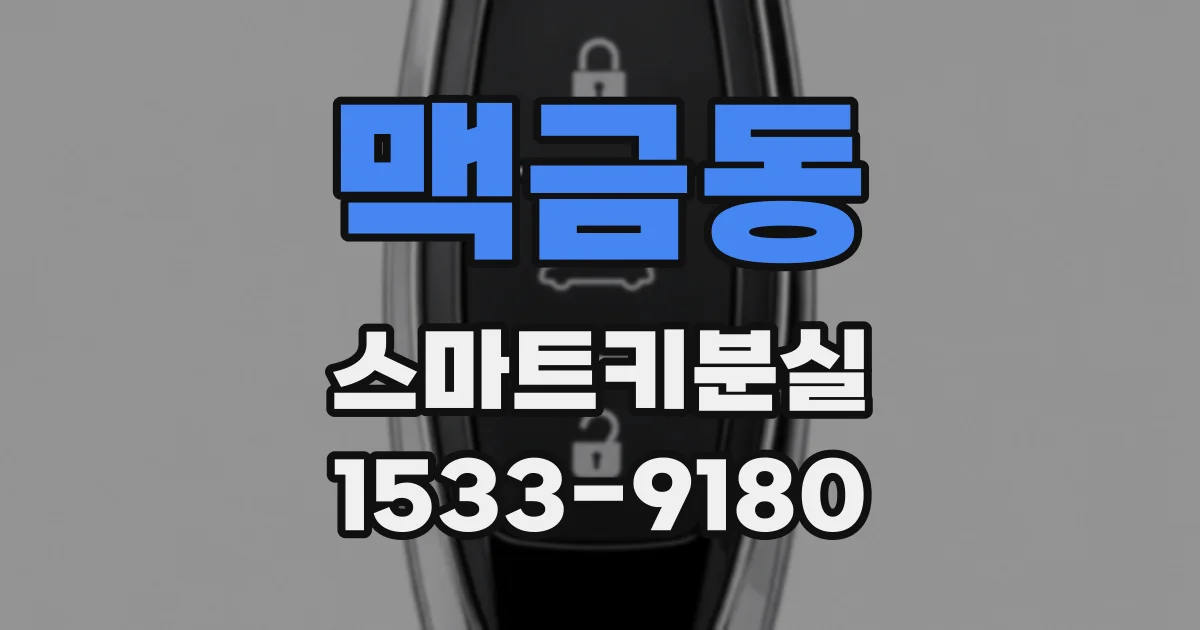 맥금동 스마트키분실