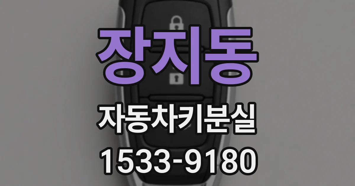 장지동 자동차키분실