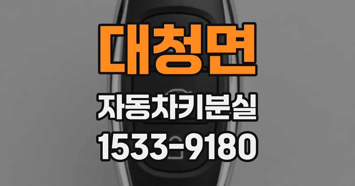 대청면 자동차키분실