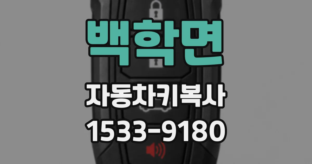 백학면 자동차키복사