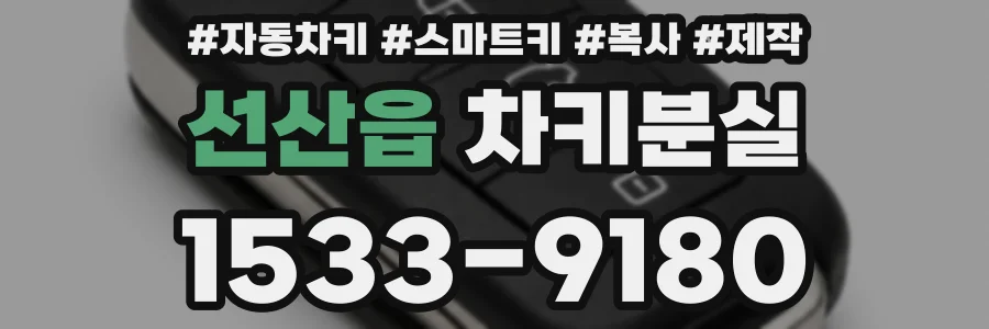 선산읍 차키분실