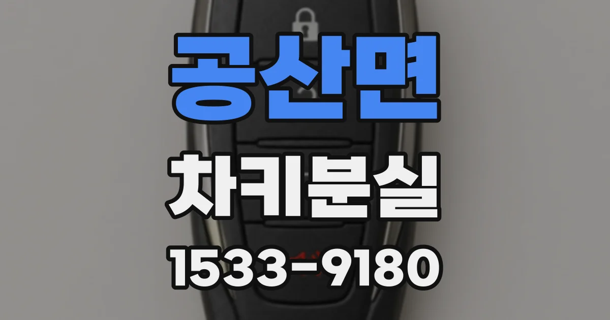 공산면 차키분실