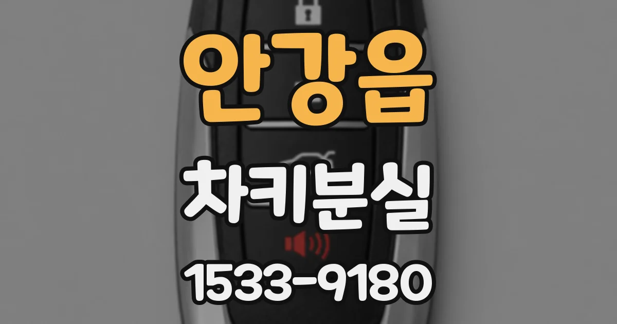 안강읍 차키분실
