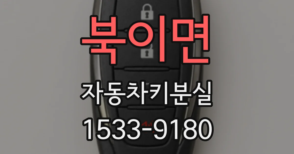 북이면 자동차키분실
