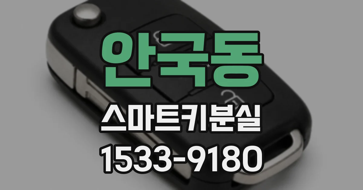 안국동 스마트키분실