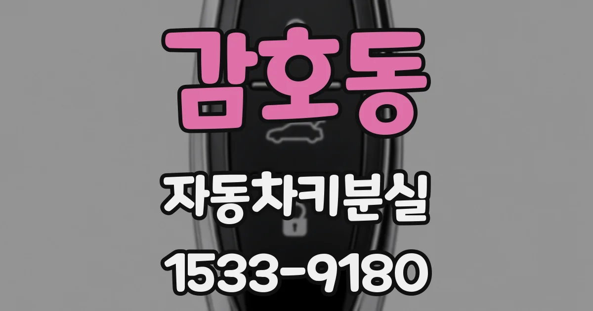 감호동 자동차키분실