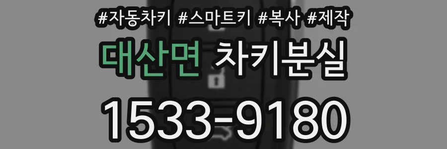 대산면 차키분실