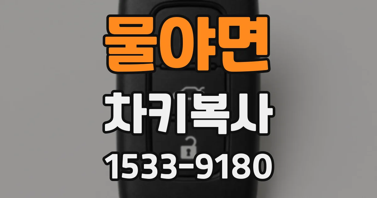 물야면 차키복사