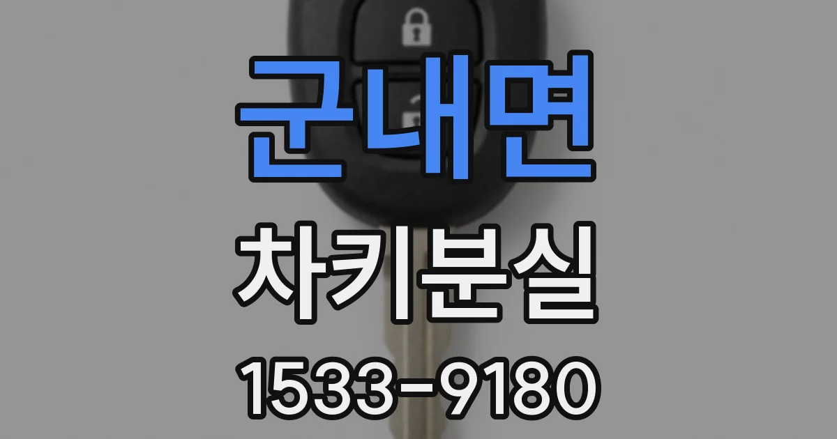 군내면 차키분실