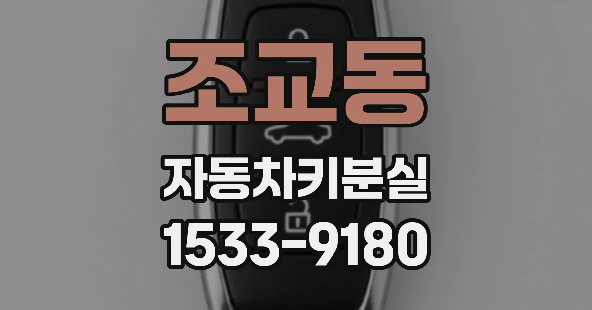 조교동 자동차키분실