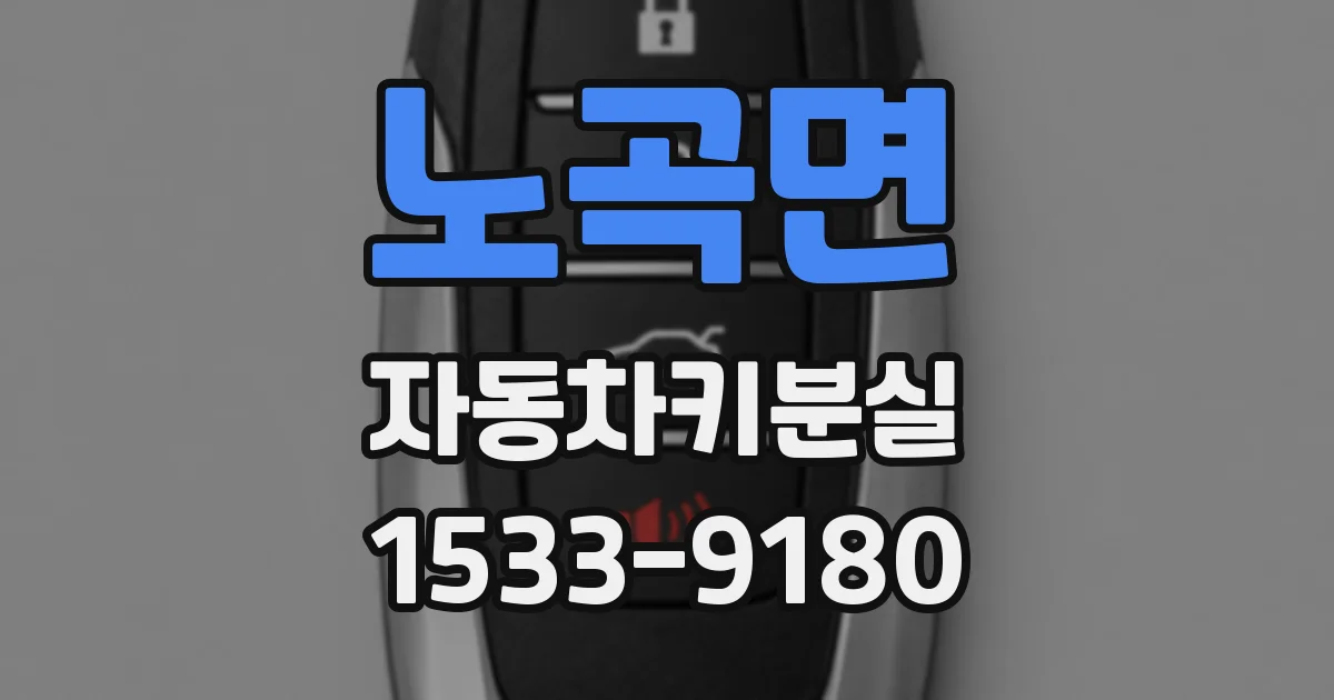 노곡면 자동차키분실
