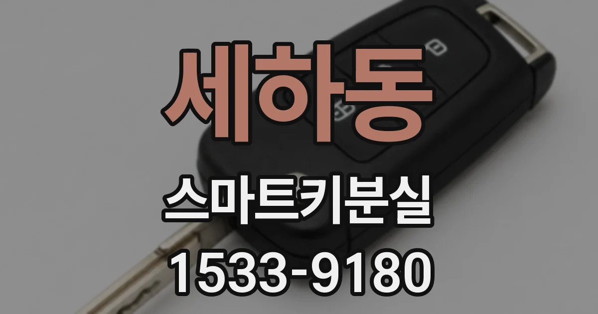 세하동 스마트키분실