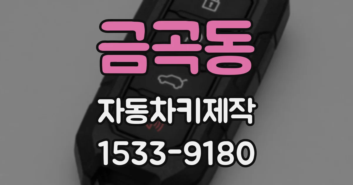 금곡동 자동차키제작