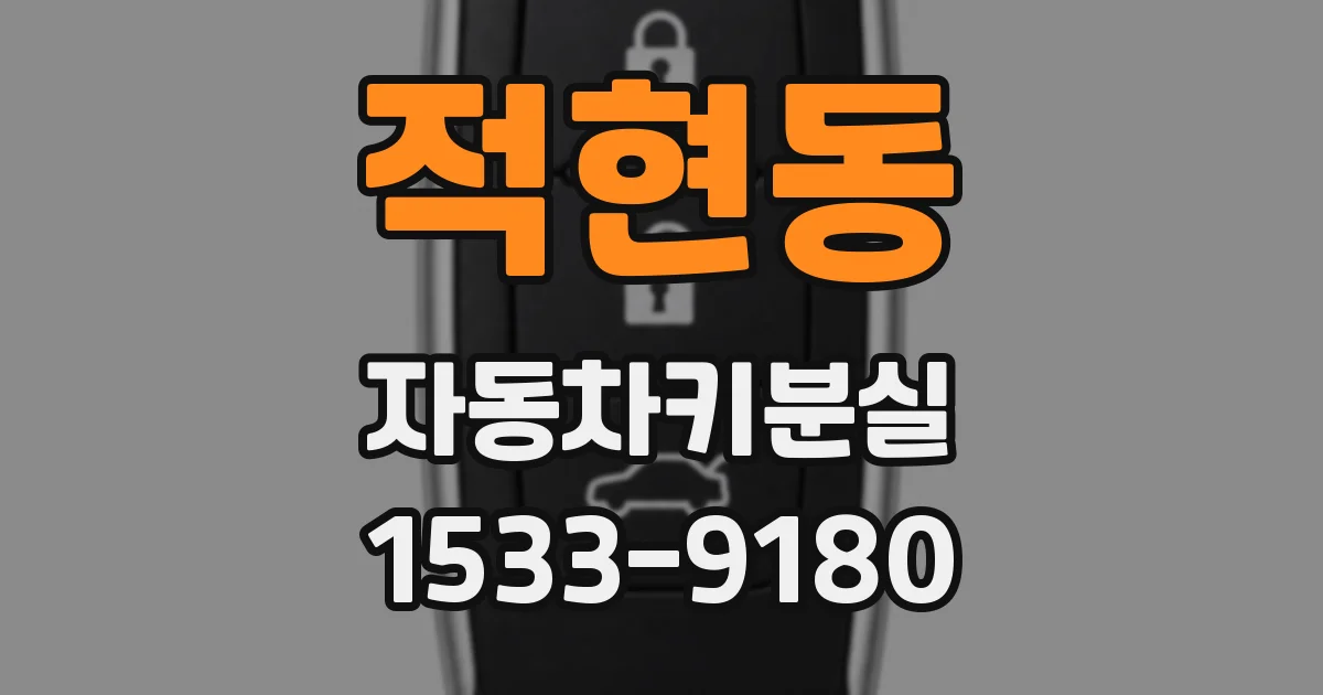적현동 자동차키분실