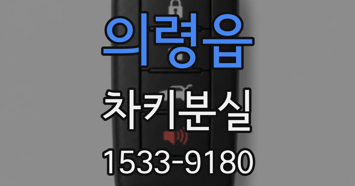 의령읍 차키분실